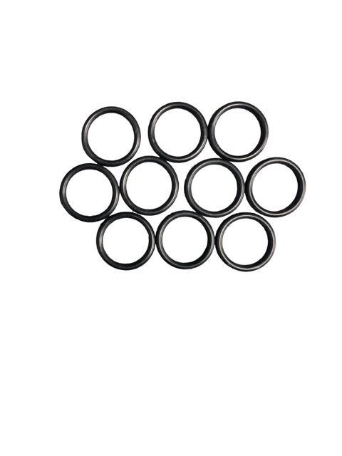 O-RING (10X)